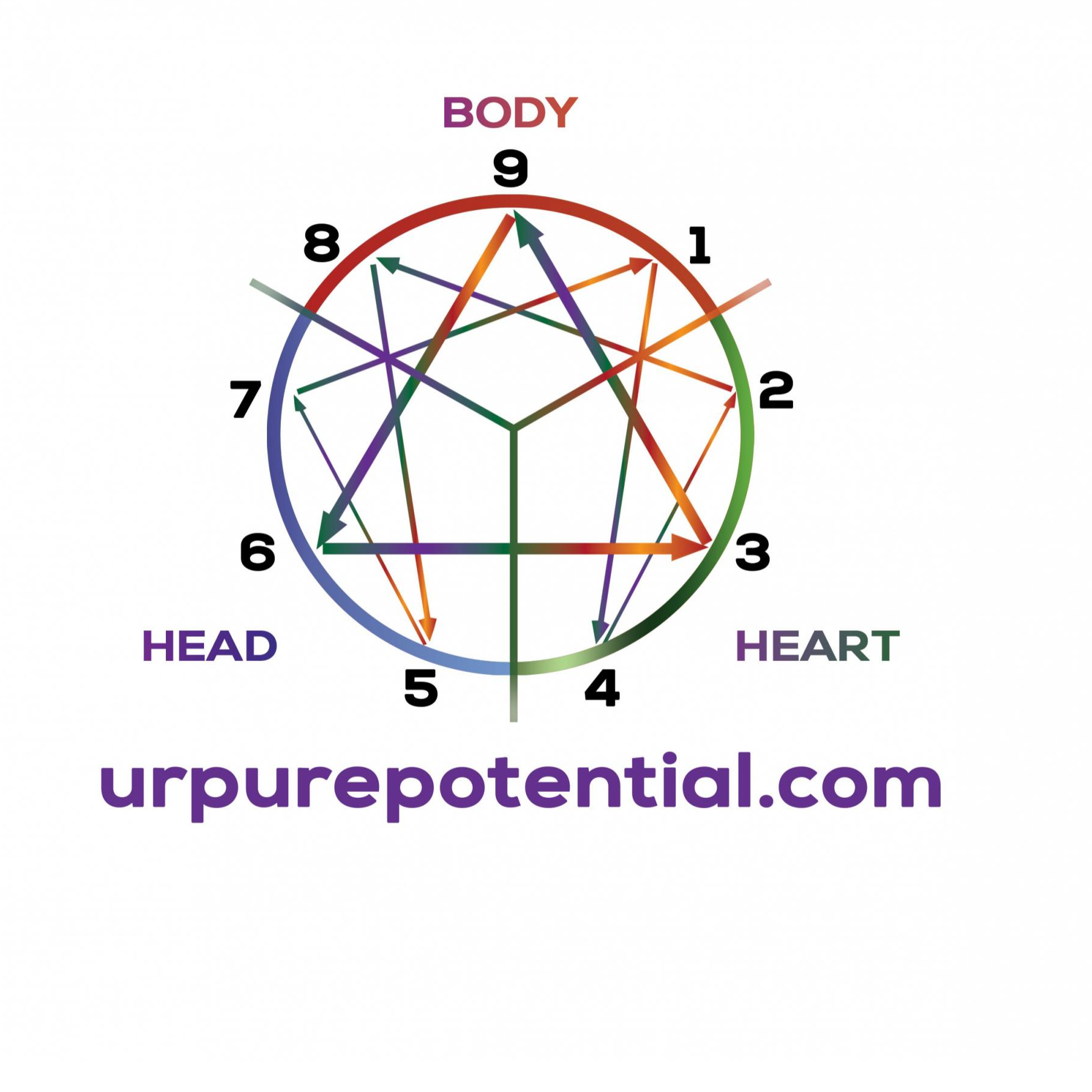 Laying the Foundation with Dr. Pat Baccili