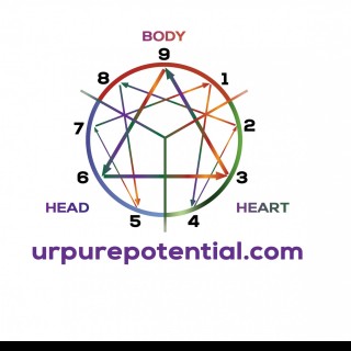 Laying the Foundation with Dr. Pat Baccili