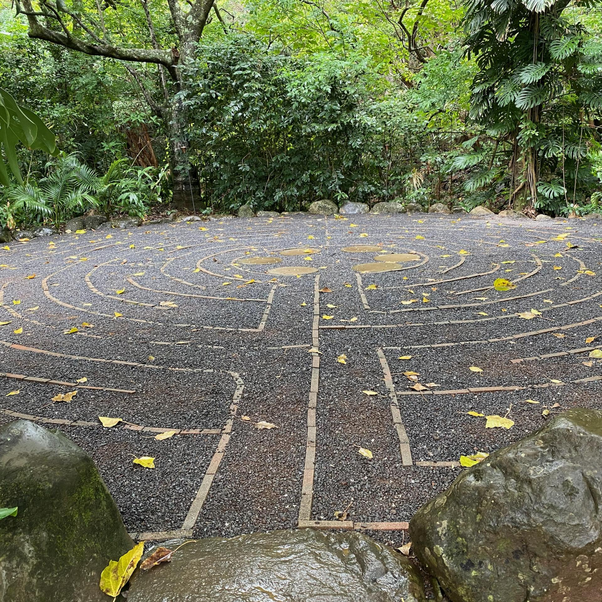 Walking the Labyrinth Path