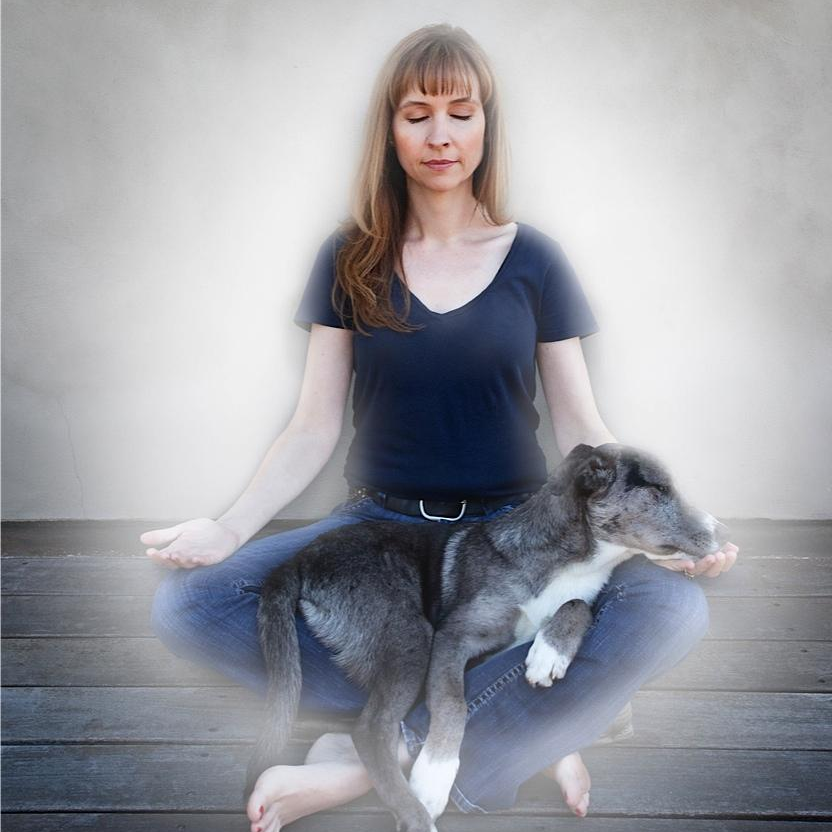 The Power of Meditation with Animals in Transforming Your Life