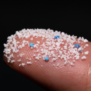 Microplastics In Our Lives and Bodies
