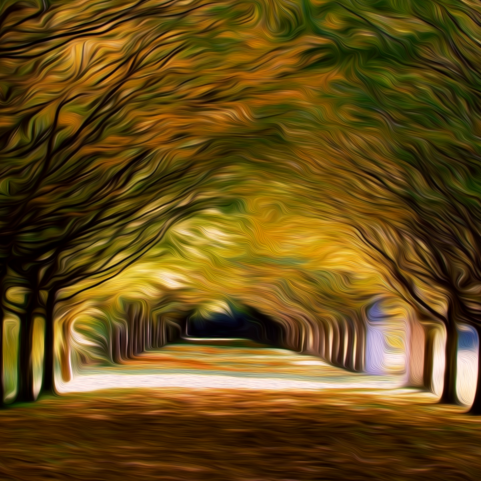 Interview with Sammy Castro: Our personal field of reality.