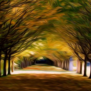 Interview with Sammy Castro: Our personal field of reality.