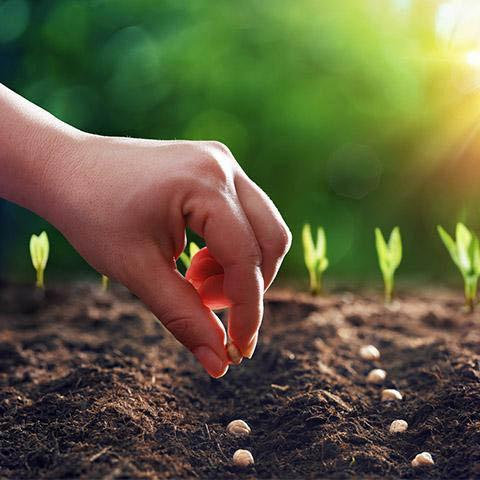 The Universal Law of Sowing & Reaping