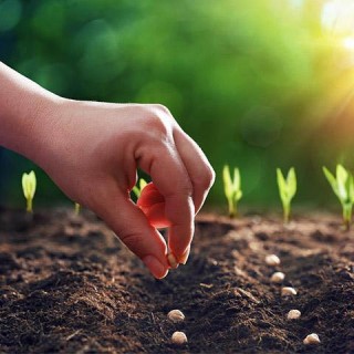 The Universal Law of Sowing & Reaping