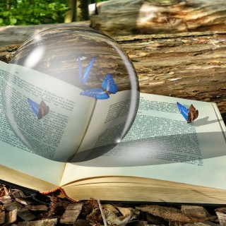 Borrowing Perspective