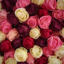 Bring Love to It with Dr Georgia Herrera. 