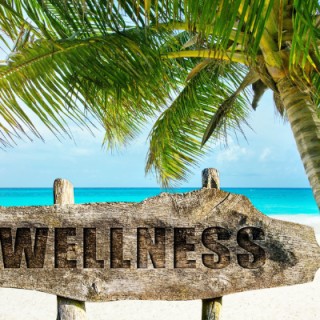 Wellness Reset with Colleen Cleary 