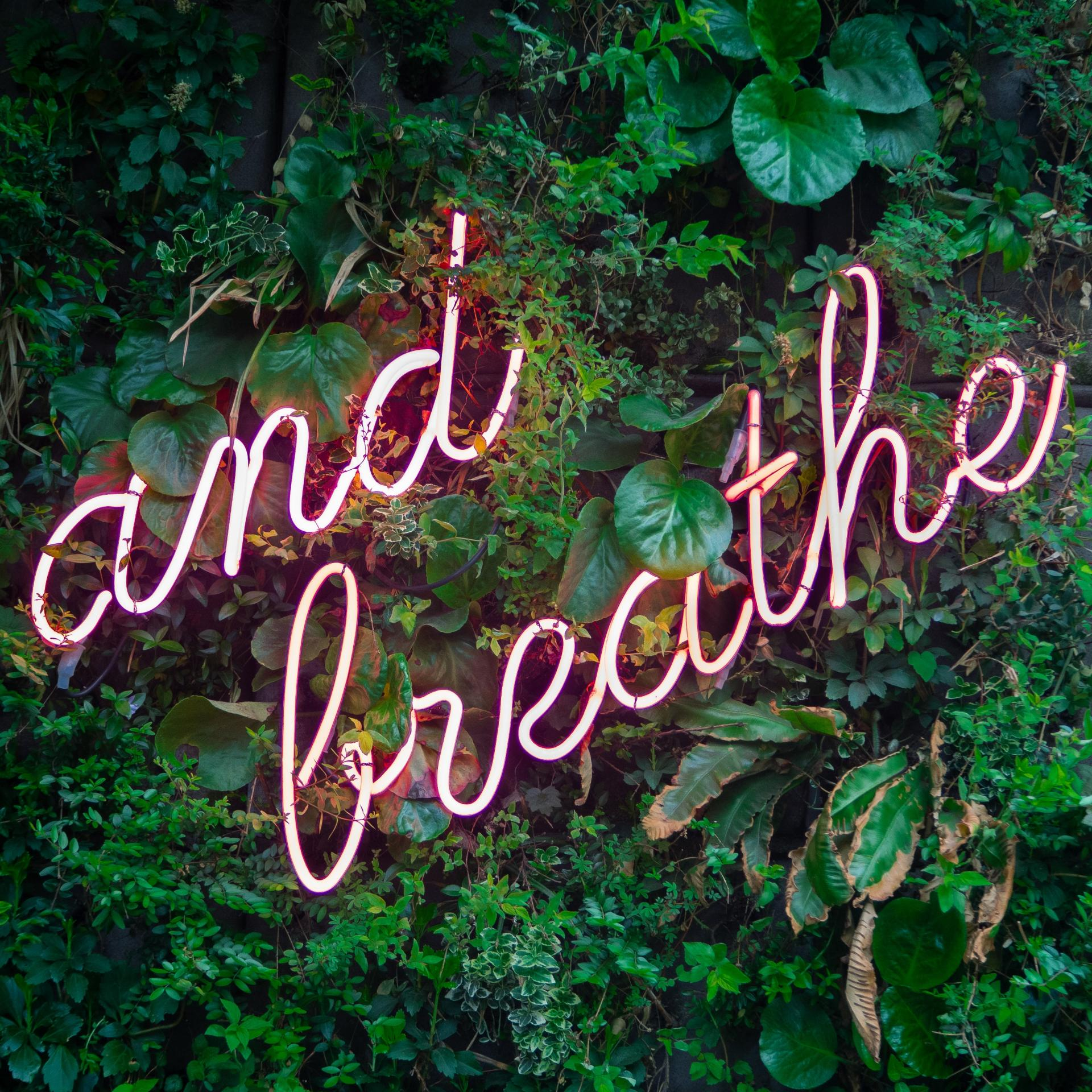 Resetting, Reigniting and Receiving through self-care