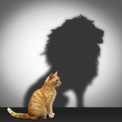 The Seven Levels of Self-Confidence