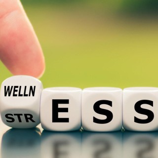 Wellness & Resiliency: Stress Management