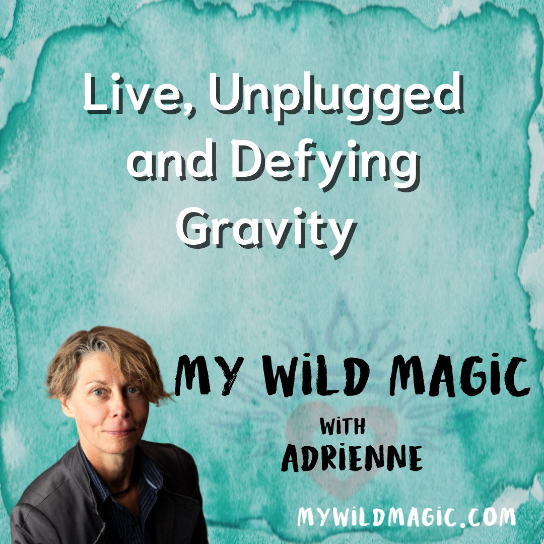 Live, Unplugged & Defying Gravity