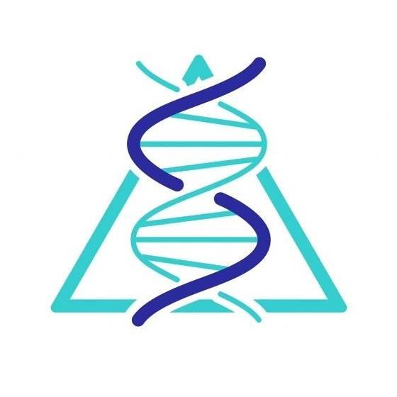 Scalar Light: The Promise of New Technology with Tom Paladino