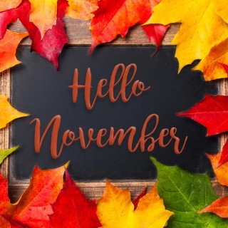 Month of Gratitude and ‘NO’vember