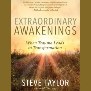 Extraordinary Awakenings with Steve Taylor, PhD