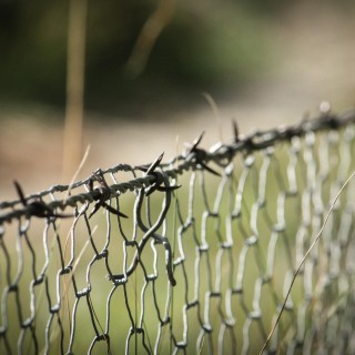 Boundary Basics