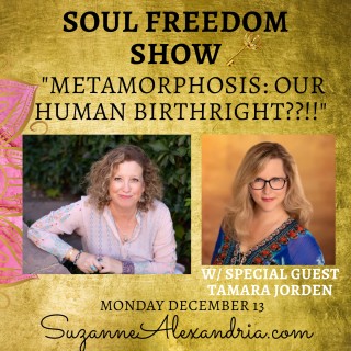 Metamorphosis: Your innate power to CHANGE
