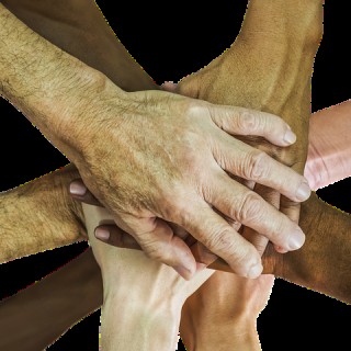 Full Body System Wellness- Expansion of the Daily Hookup as a way of life 