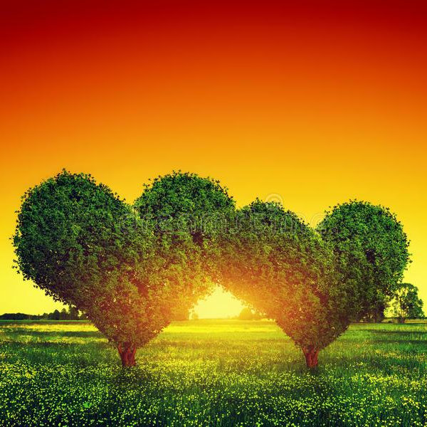 Mastering the Art and Leadership of Love