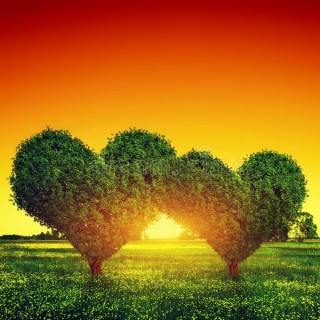 Mastering the Art and Leadership of Love