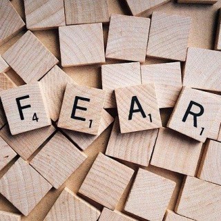 Full Body System Wellness- FEAR and the interconnectedness of the state of the world stage