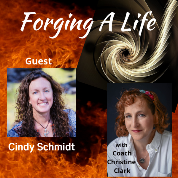 Jungian Coach Cindy Schmidt