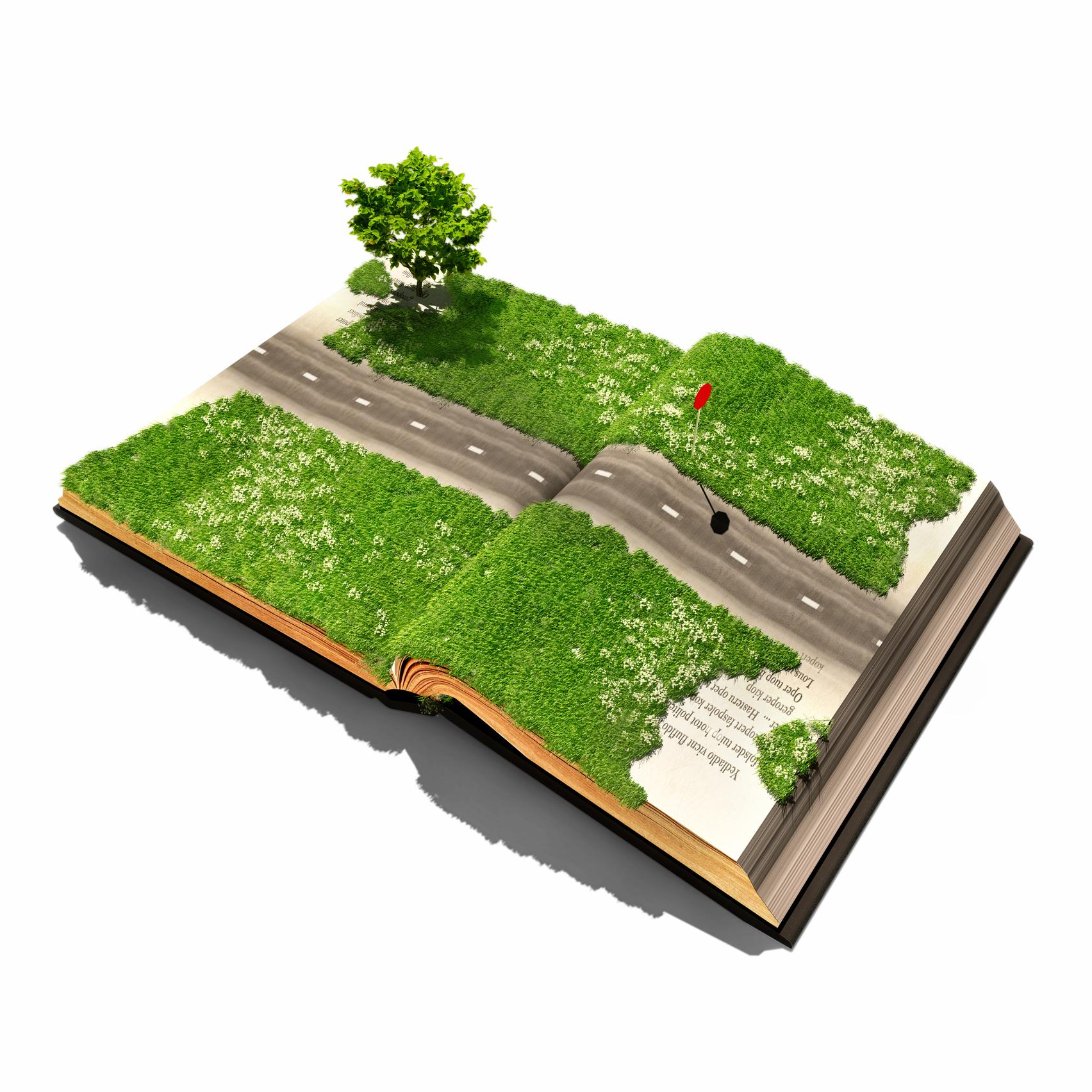 March Magic: A Tale of Two Worlds