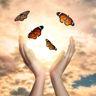 Transmutation back into Love