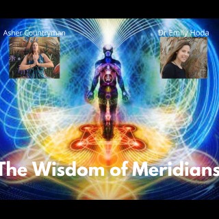 The Wisdom of Meridians 