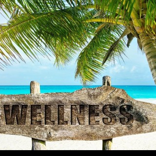 Daily Wellness – 3 quick meditations to use daily!  