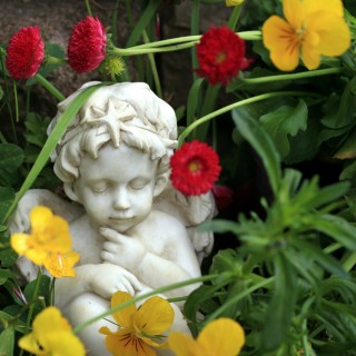 Angels Help you Blossom with The Angel Lady Sue Storm