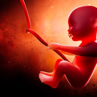 Conception, abortion, and soul purpose – the way it really works! 