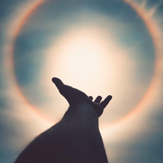 Encore: Light Language and Energy Channeling Show with special guest- Leanne Rose