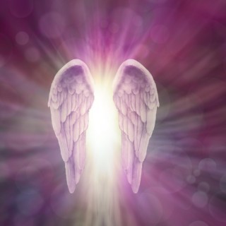So I'm an Empath... Now What?!?