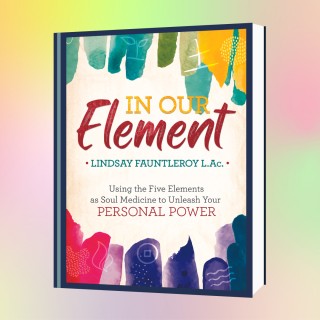 In Our Element: Using the Five Elements as Soul Medicine to Unleash Your Personal Power with Lindsay Fauntleroy