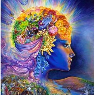 Importance of Connection to Gaia and the relationship with Your Earthly Embodiment and Physical Body. 