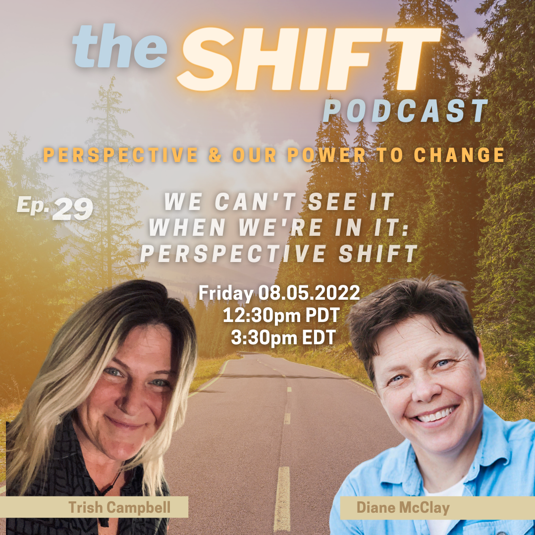 Ep. 29 - We Can't See It When We're in It: Perspective Shift