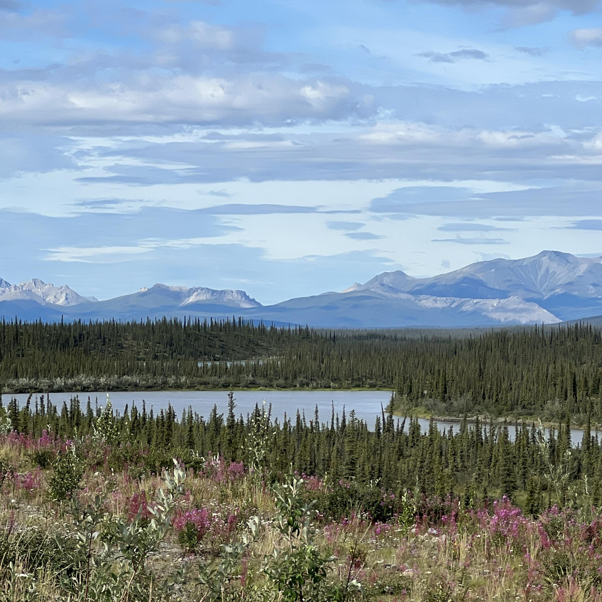 Neets'aii Gwichʼin  Way of Life From Arctic Village Alaska