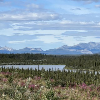 Neets'aii Gwichʼin  Way of Life From Arctic Village Alaska