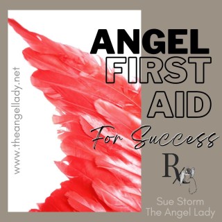 Angels create Success with The Angel Lady Sue Storm!