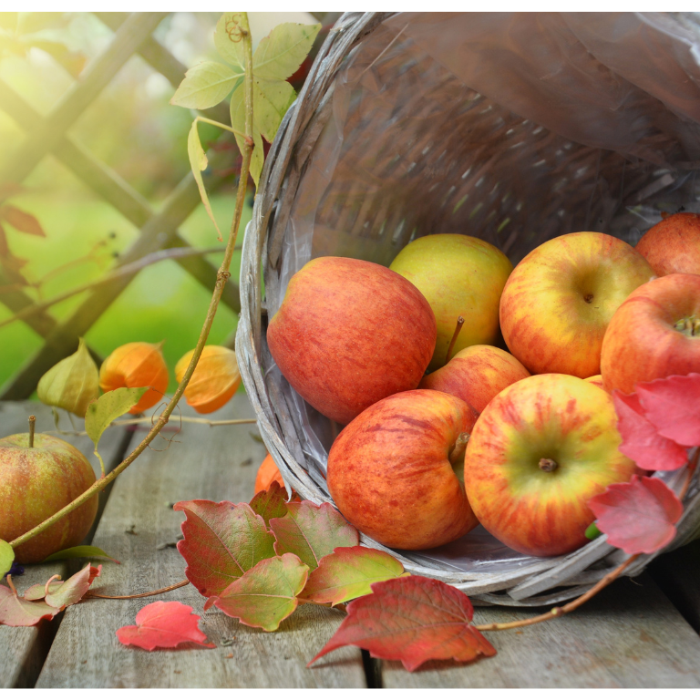 Mind your apple, Adam!
