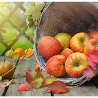 Mind your apple, Adam!