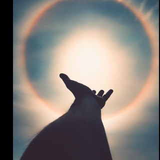Divine Channel and Light Bringer Pam Bright  with Messages for Humanity