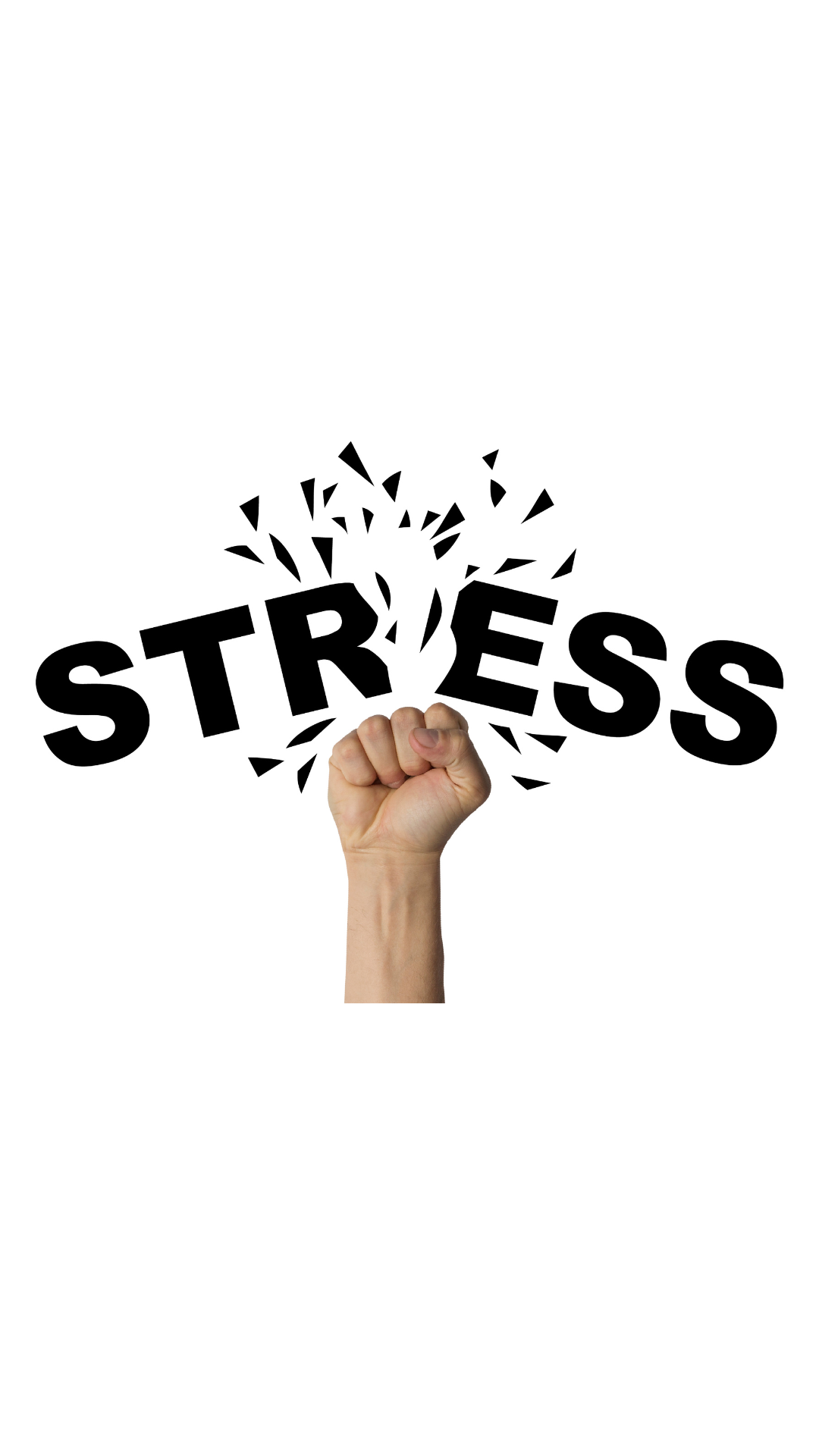 Season Stressbusters
