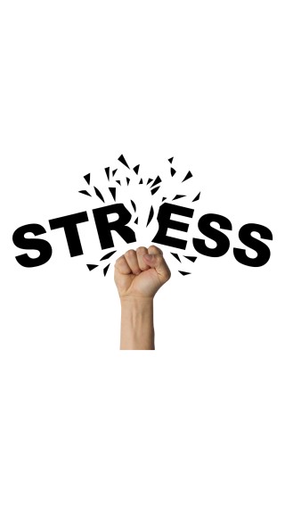 Season Stressbusters