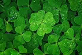 Create Your Own Luck – The Role of Spirit