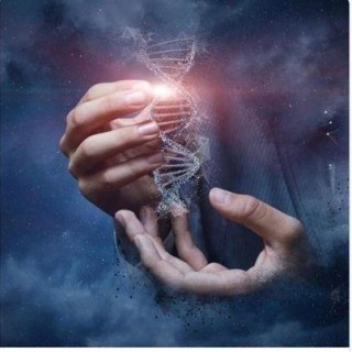 Live Healings