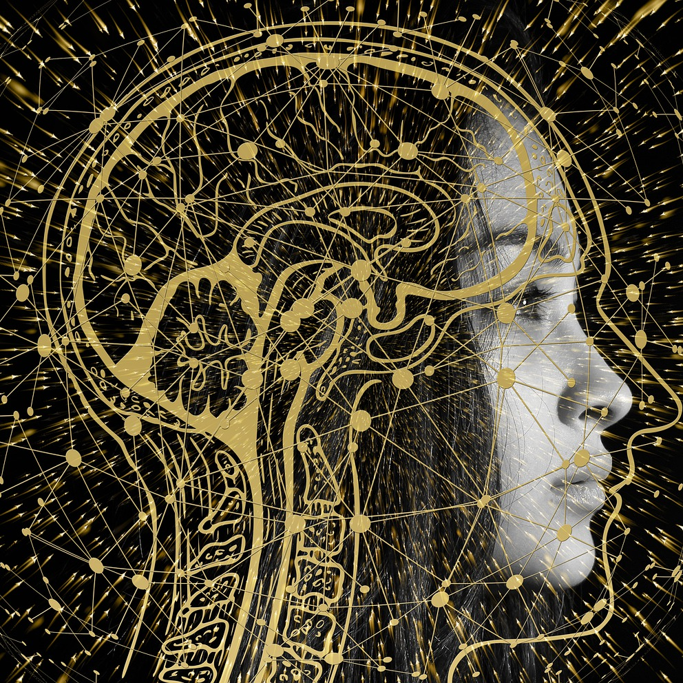 How Your Body is Working:  A Close Look at Our Body, Mind, and Spirit