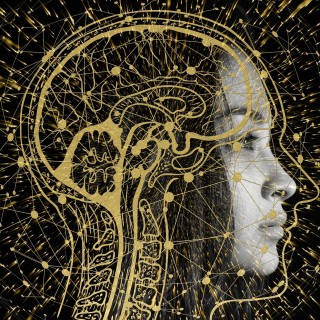 How Your Body is Working:  A Close Look at Our Body, Mind, and Spirit