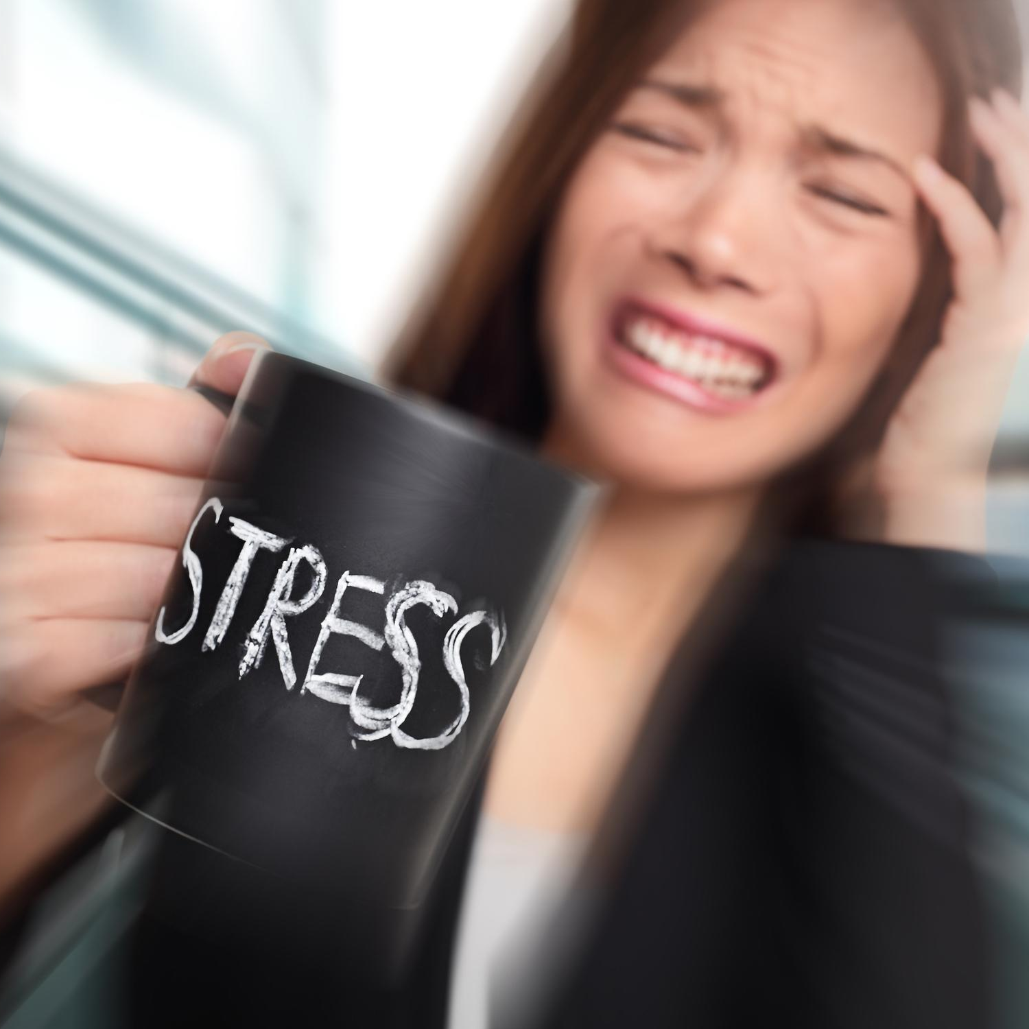 Wild Times? Build your Life on a Rock Solid P.U.R.E. Foundation